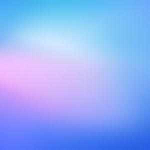 Meet your Posher, Shelby